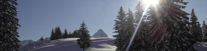 head winter landschaft ferienwohnungen lermoos